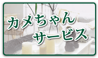 カメちゃんサービス